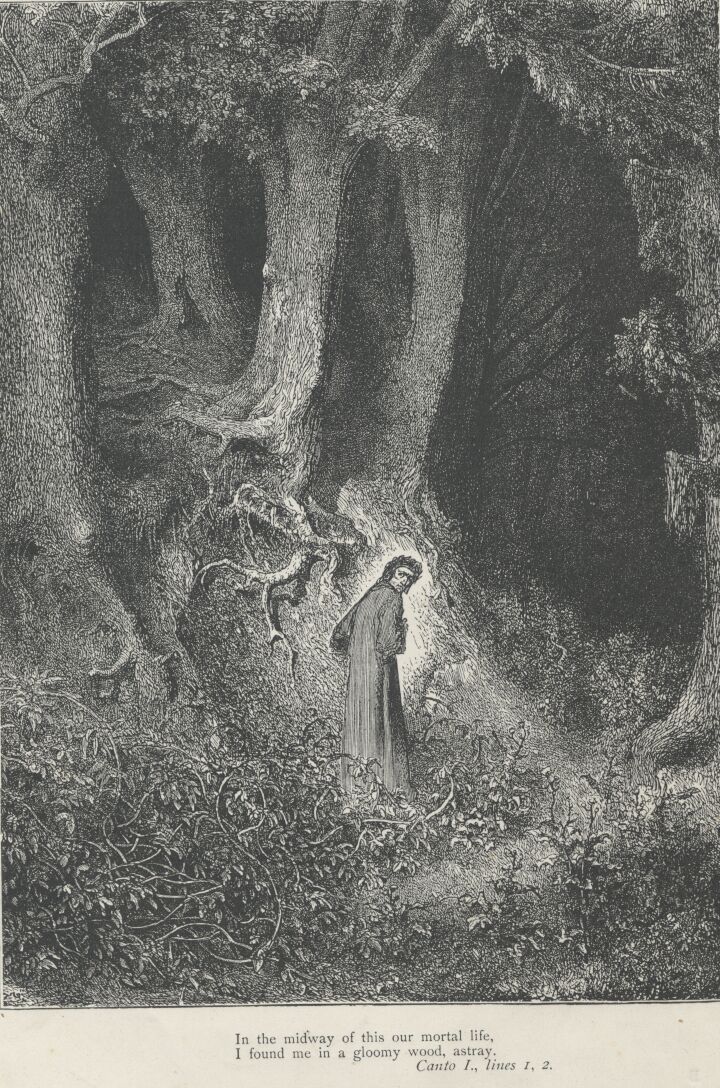 Paul Gustave Doré (1832-1883). Dante finds himself lost in a gloomy wood, from Canto 1 of the Divine Comedy: Inferno